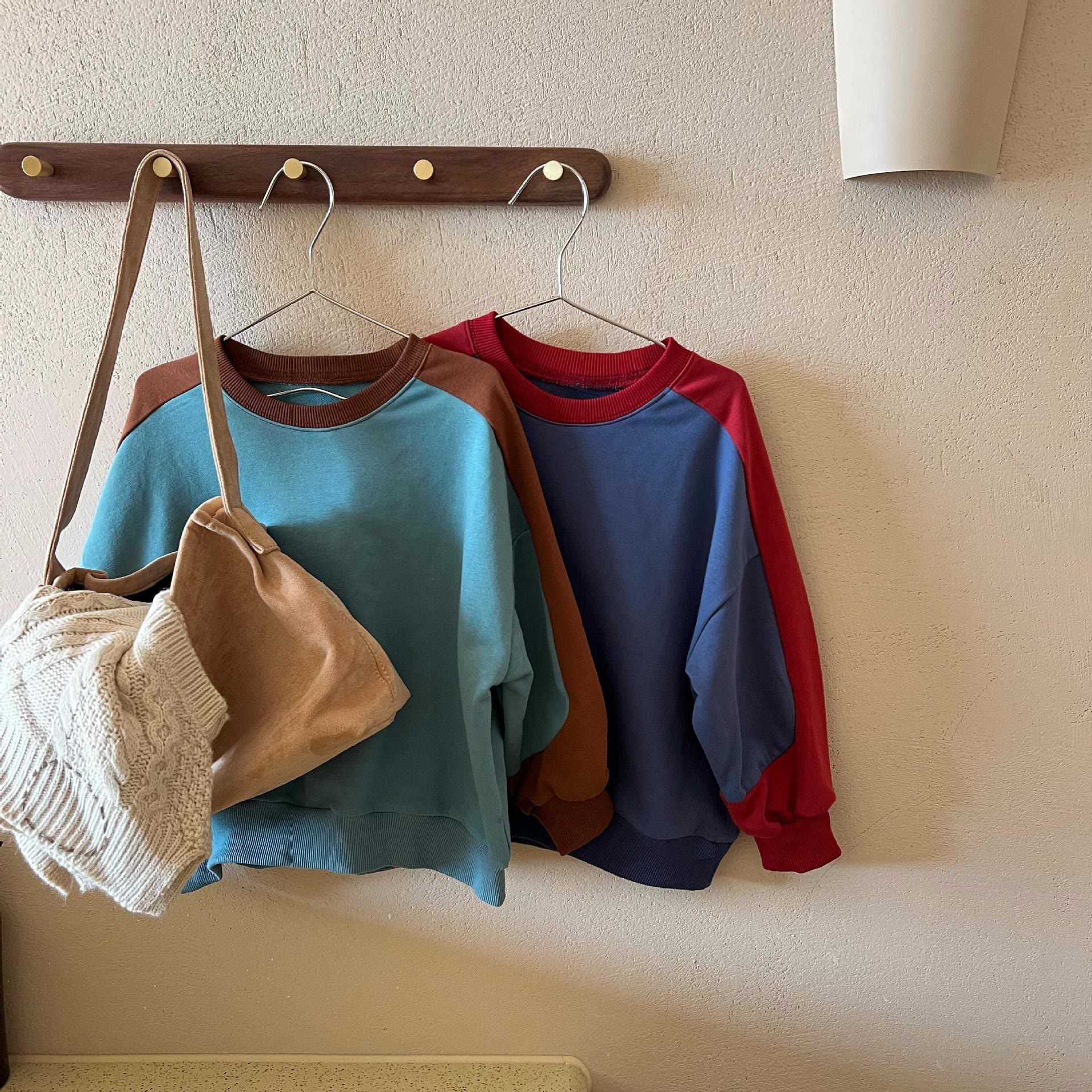 Toddler Contrast Sleeves Color Block Sweatshirt