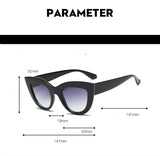 Wild Retro Style Plastic Frame Cat Eye Sunglasses