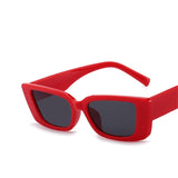 Small Big Frame Square Sunglasses