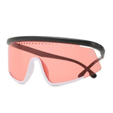 Oversized Windproof Retro Sunglasses