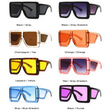 Colorful Eyewear Square Sunglasses